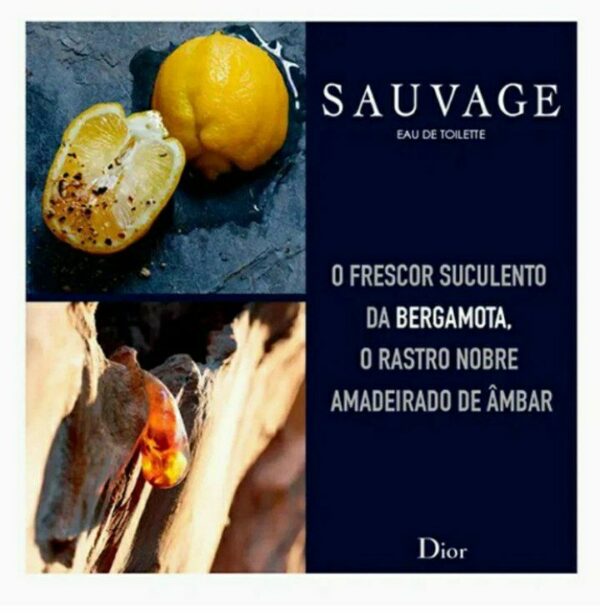 عطر ديور سوفاج للرجال Dior Sauvage 1